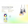 Telecomando RGB / RGBW / RGB+CCT 4-Zone Full Touch