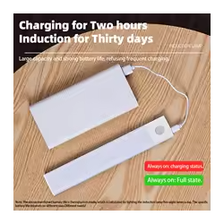 Lampada Ricaricabile per Sottopensile o Cabina Armadio